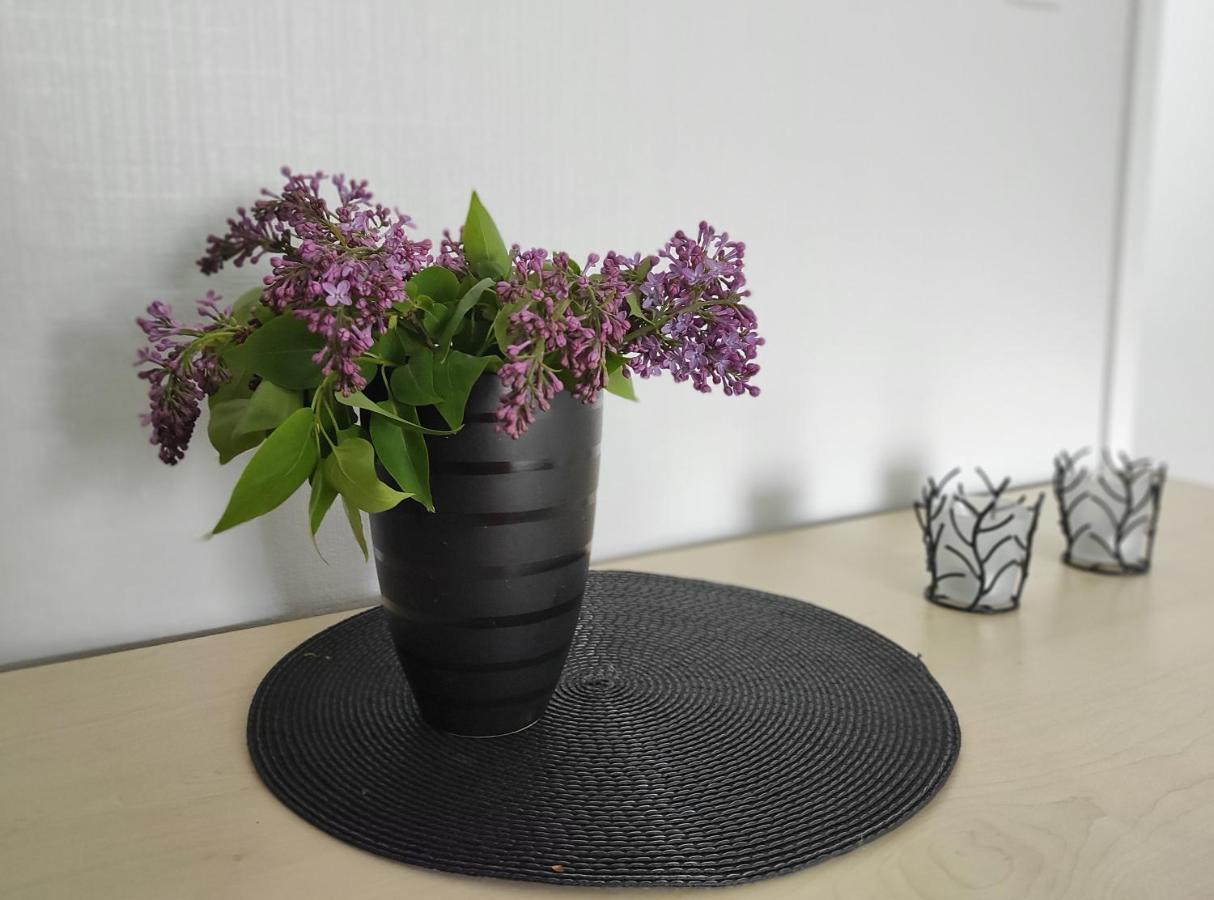 Hiiumaa Family Apartments Kärdla Zewnętrze zdjęcie